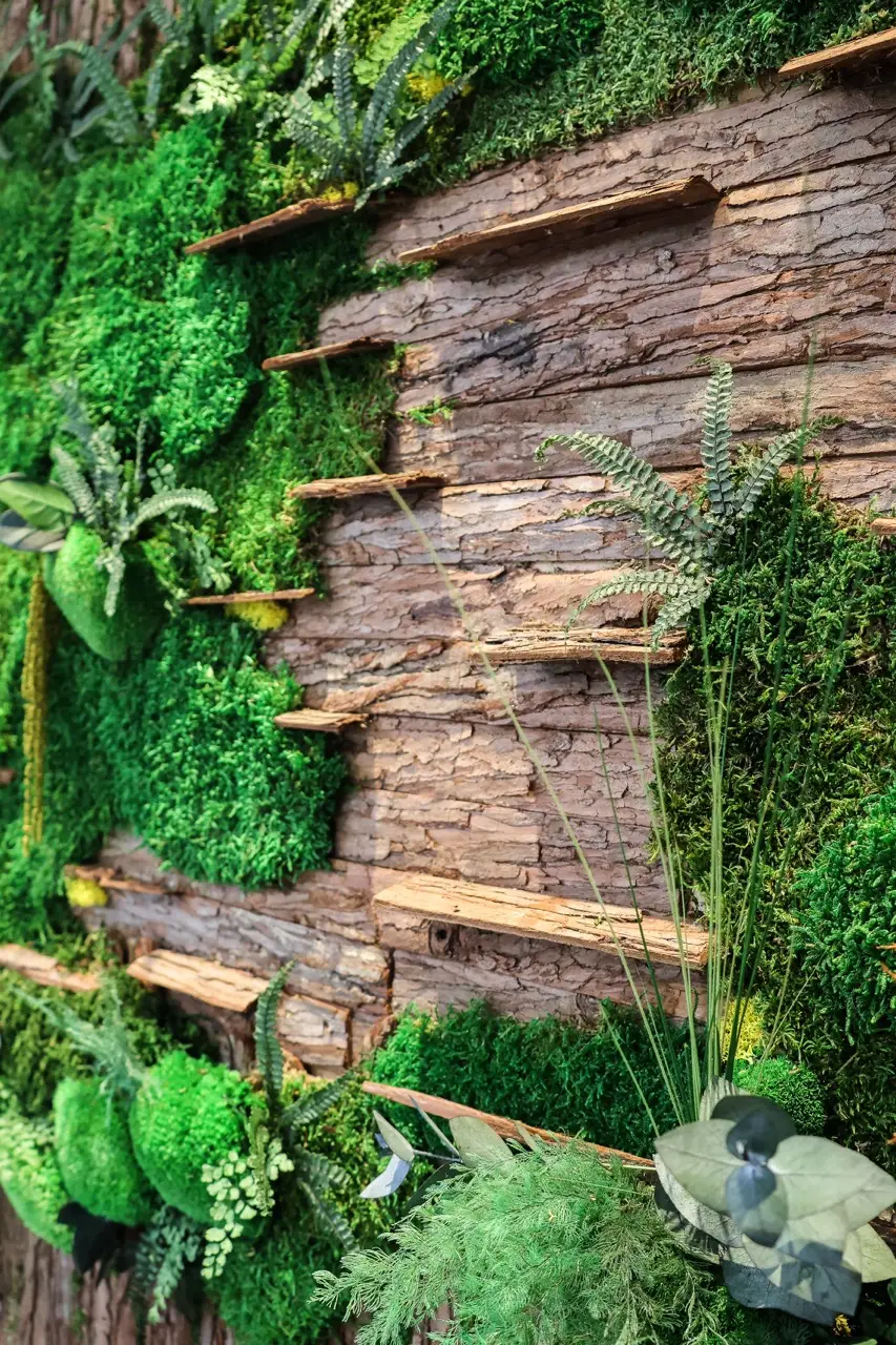 Créer un mur de plantes dans son bureau